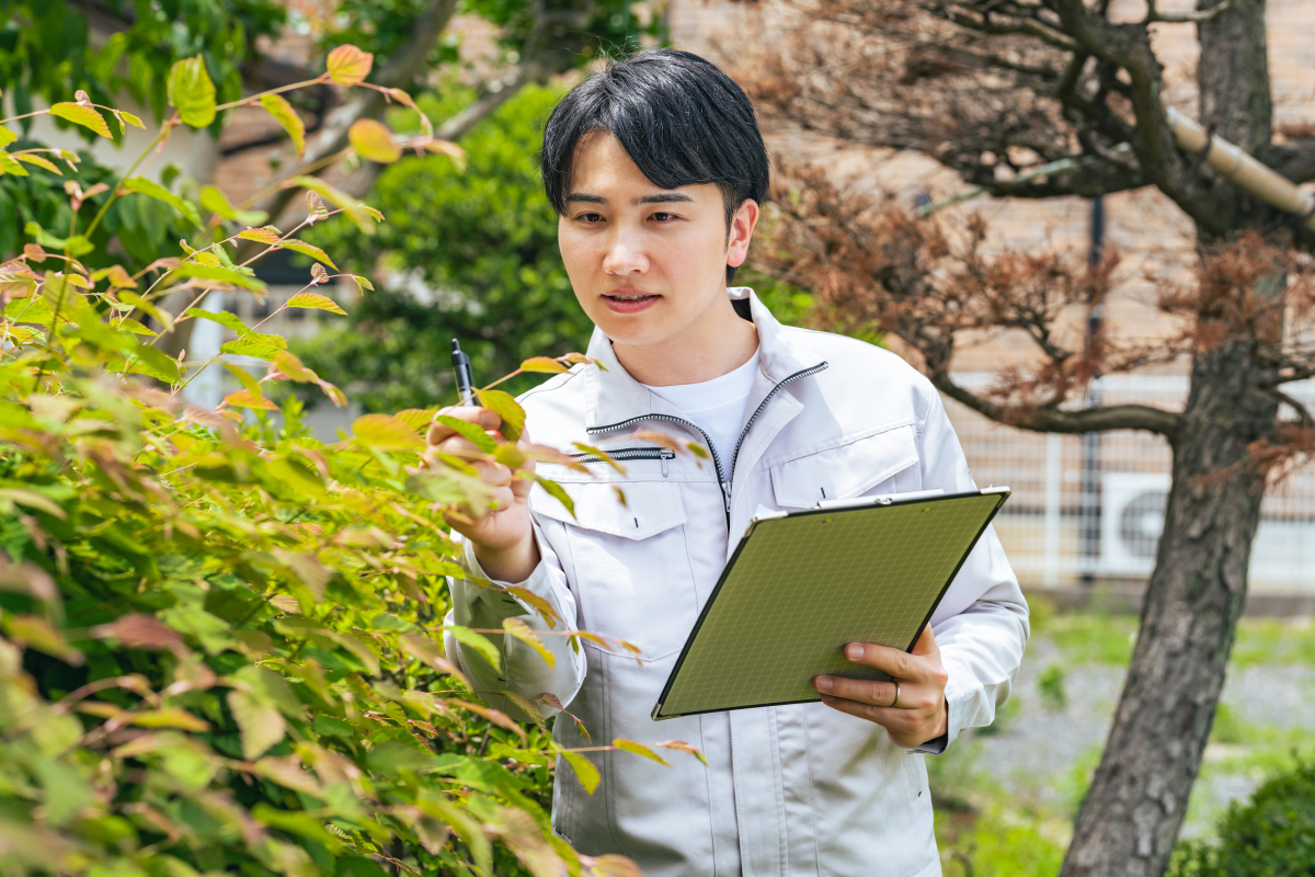 百年後のための仕事