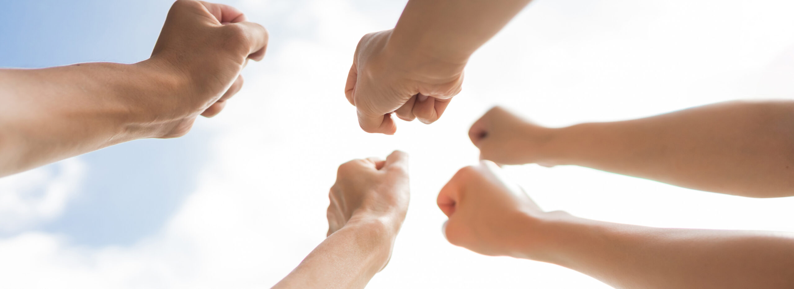 伝統と自由が共存する社風