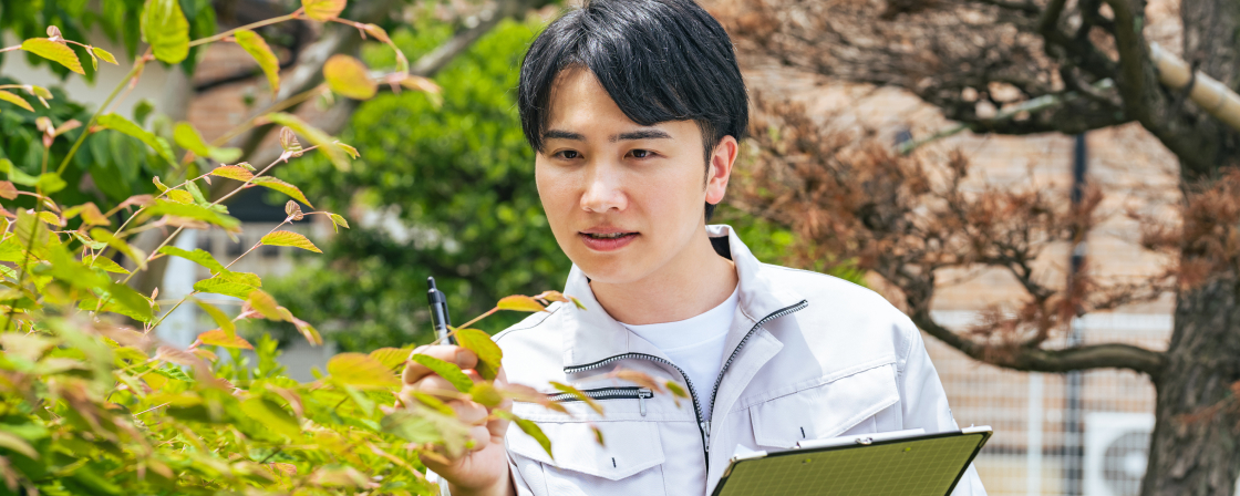 百年後のための仕事